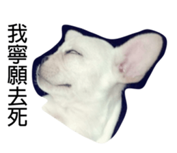 157906540