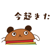 157912761