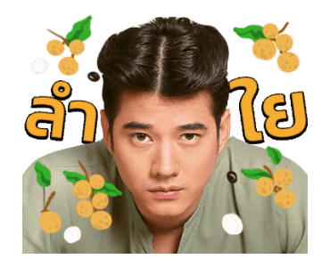 ทองเอก หมอยาท่าโฉลง รูปที่ 11