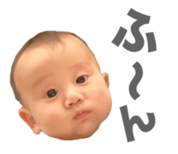 157916618