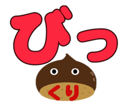 157917573