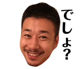 157977036