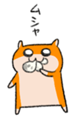 15798948