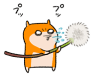 15798950