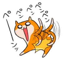 15798958