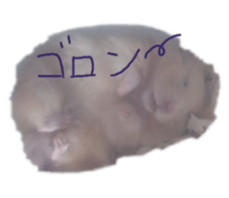 157997853