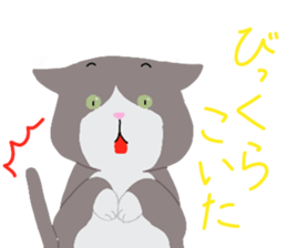 158010272