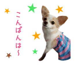 15802205