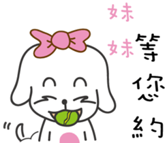 158023163