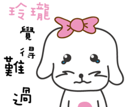 158026447
