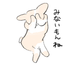 15806260