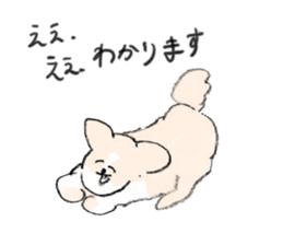 15806261