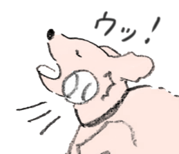 15806277