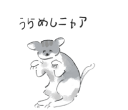 15806288