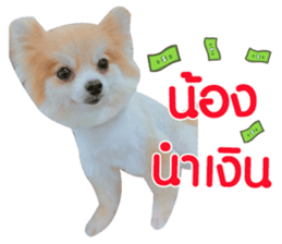 158075277