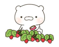15809422
