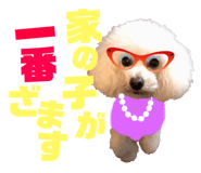 158098998