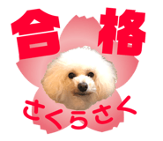 158099000