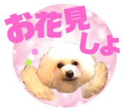 158099002