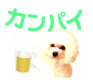 158099004