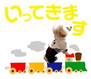 158099009
