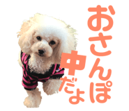 158099010