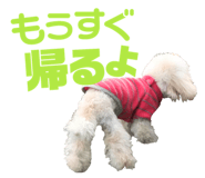 158099011