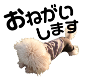 158099013