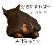 158187928