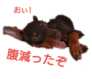 158187935
