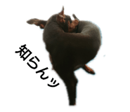 158187938