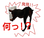 158187941