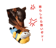 158187945