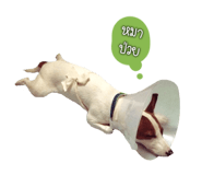158282929