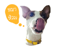 158282930
