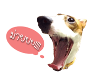158282938