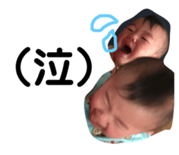 158341945