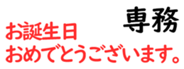 158394304