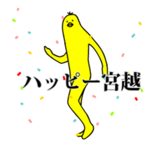 158481202