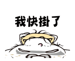 15848566