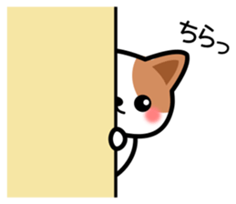 158500842
