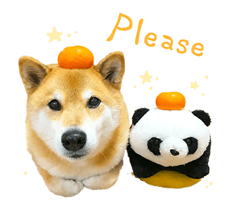 SHIBA MARU สติกเกอร์ป๊อปอัพ รูปที่ 2