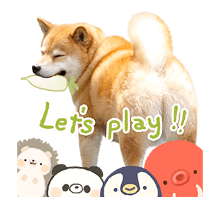 SHIBA MARU สติกเกอร์ป๊อปอัพ รูปที่ 5