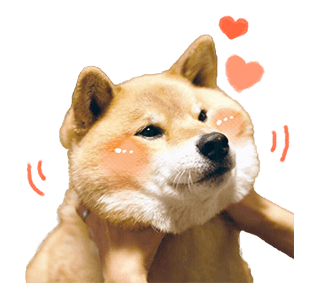 SHIBA MARU สติกเกอร์ป๊อปอัพ รูปที่ 7