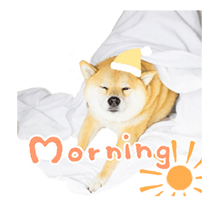 SHIBA MARU สติกเกอร์ป๊อปอัพ รูปที่ 9