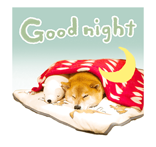 SHIBA MARU สติกเกอร์ป๊อปอัพ รูปที่ 10
