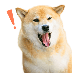 SHIBA MARU สติกเกอร์ป๊อปอัพ รูปที่ 12
