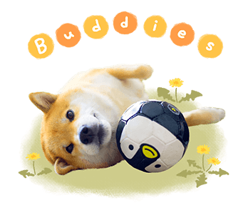 SHIBA MARU สติกเกอร์ป๊อปอัพ รูปที่ 13