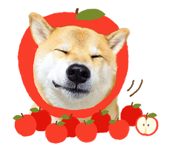 SHIBA MARU สติกเกอร์ป๊อปอัพ รูปที่ 15