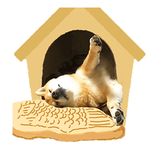 SHIBA MARU สติกเกอร์ป๊อปอัพ รูปที่ 17
